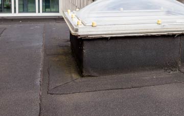 disadvantages of Dauntsey Lock flat roofs